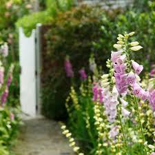 cottage garden ideas create a charming