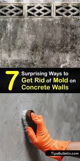 Eliminate Concrete Mold Tricks To