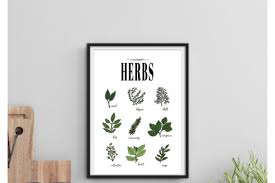 Kitchen Herb Wall Art Decor Print