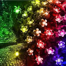 Gigalumi Outdoor 23 Ft Solar Powered Novelty Bulb Led String Light With Multi Color Flower 2 Piece