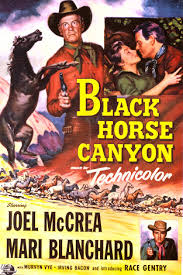 Huge collection, amazing choice, 100+ million high quality movie title: Black Horse Canyon 1954 Imdb