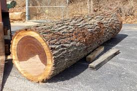 How Much Is Your Log Worth Woodworking Network