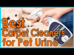 best carpet cleaners for pet urine top