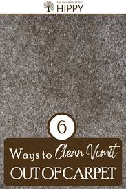 6 ways to clean vomit out of carpet