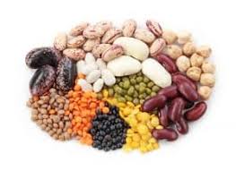 Pinto beans and green beans are good for a cat; Can Cats Eat Beans Top 5 Key Points To Remember