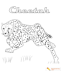 cheetah coloring page 10 free cheetah