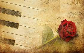Wallpaper flower, rose, red rose, piano ...