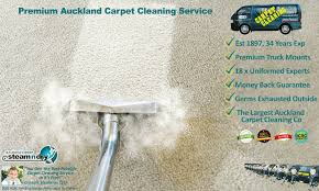 carpet cleaning south auckland services