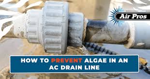 prevent algae in an ac drain line