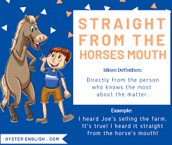 idiom straight from the horse s mouth