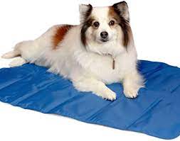 Look for retailer locations and our flagship stores near you. Simply Natural Pet Cooling Mat Large 90 X 60 Cm Self Cooling Mat For Dogs And Cats Pet Mat With Cooling Gel And Easy Foldable Design Pet Cooling Mat Amazon De Pet Supplies
