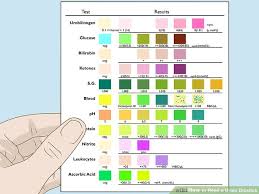 Simple Ways To Read A Urine Dipstick 14 Steps With Pictures