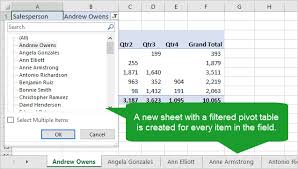 Create Multiple Pivot Table Reports With Show Report Filter