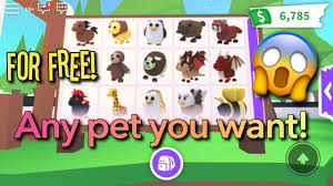 They have some glowing neon spots in some areas of their body — limbs, tail there are some users who would give you their pets for money, but there isn't actually a surefire way of getting cool pets completely for free. How To Get Any Pet For Free In Roblox Adopt Me Omg Youtube