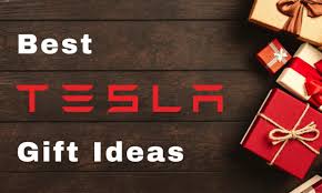 Christmas gifts for tesla owners. Best Gift Ideas For Tesla Owners For Under 50 Ev Mojo