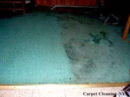carpet cleaning bronx rug cleaning