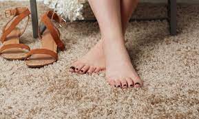 conder carpet cleaning up to 55 off