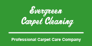 evergreen carpet cleaning a carpet
