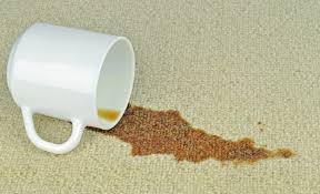 best emergency carpet stain removers