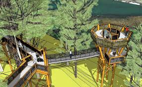 8 steps to plant a tree. Vins Canopy Walk Civil Structural Engineering
