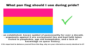 The pansexual flag is a classic design that will stand the test of time, whether on a sunny day or hanging out with friends. On Twitter A Pansexual Flag Psa For Pride Month