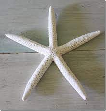 How To Make Hanging Starfish For The Wall
