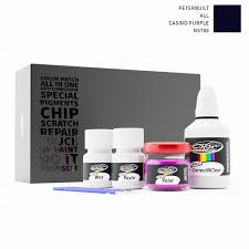 Purple N5788 Touch Up Paint Kit