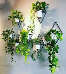 Green Polyethylene Artificial Hanging