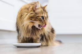 how does hairball control cat food work