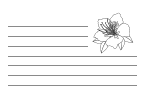 Linienblatt zum ausdrucken din a 4 : Linienpapier Ausdrucken