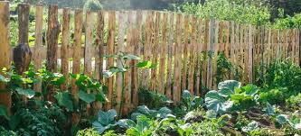 How To Build A Vegetable Garden Fence