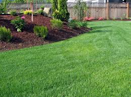choosing the right mulch for your garden