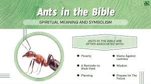 symbolism of ants in the