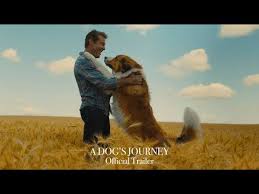 Compared to a dogs way home, this movie is a masterpiece. A Dog S Journey Review You Can T Teach A Dead Dog New Tricks