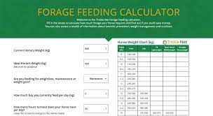 horse overeating new forage calculator