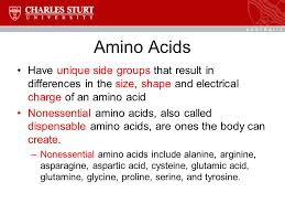 The official amino acids definition includes any organic compound that contains both a carboxyl and amino group. Topic 6 Protein Amino Acids Chris Blanchard Ppt Video Online Download
