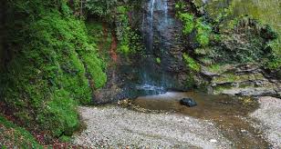 shimla-chadwick-falls
