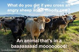 Well, what are you waiting for? 23 Funny Farm Animal Jokes That Will Make You Laugh Out Loud Fill Your Plate Blog