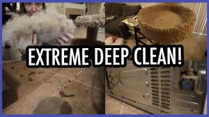extreme deep clean cleaning