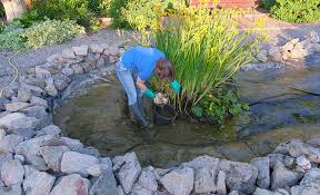 How To Build A Fish Pond The Home Depot