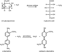 8 Glucose Oxidase Assay Reaction