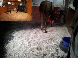 horse bedding pellets cat litter