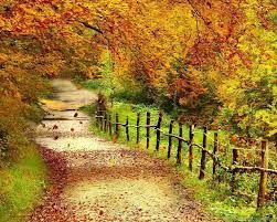 Super Autumn Scenery Wallpapers Desktop ...
