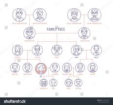 Family Tree Pedigree Ancestry Chart Template Stock Illustration