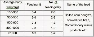 The Aquaculturists 22 01 2015 Feed And Feeding Practices