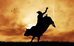 bull riding background images browse