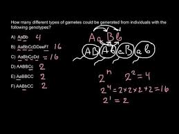 gametes and genotypes simple formula