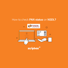 all about nsdl service status