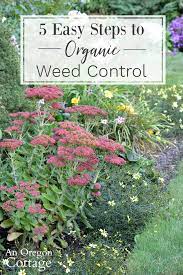 organic weed control for beds borders
