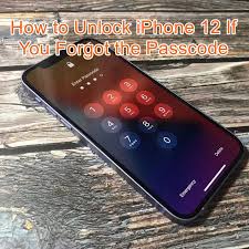 That unlocking your iphone with anyunlock will also erase all its data . How Do You Unlock An Iphone 12 If You Forgot The Passcode Softwaredive Com